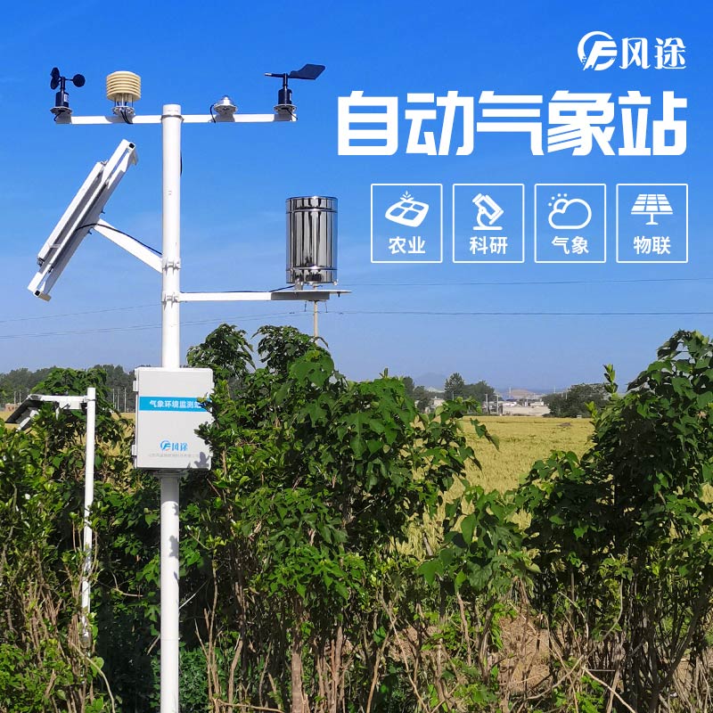 夏威夷果的種植氣候 夏威夷果的種植氣候