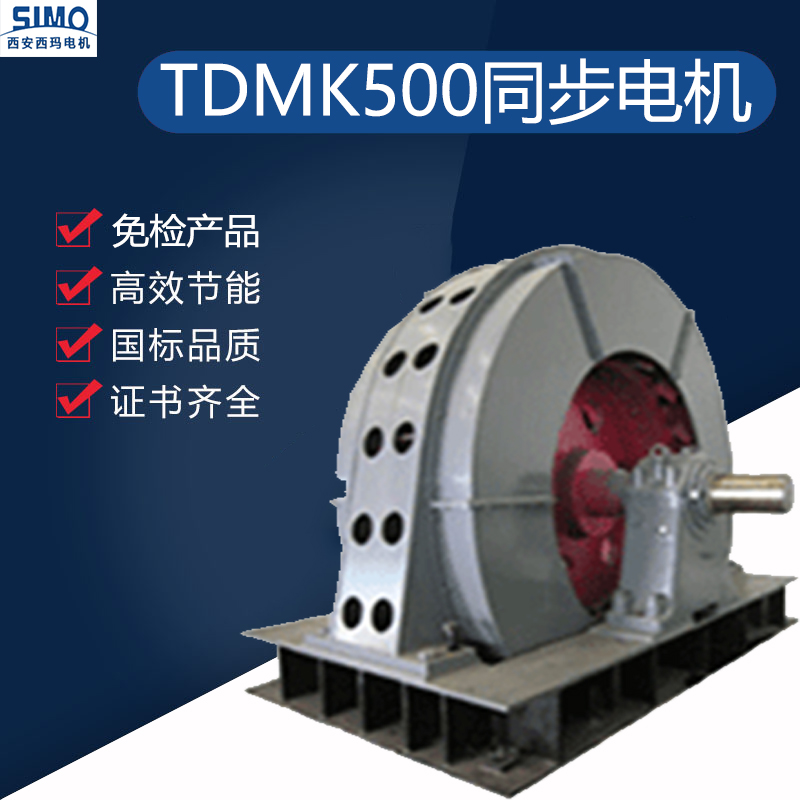 TDMK500-32 6kV Synchronous Motor