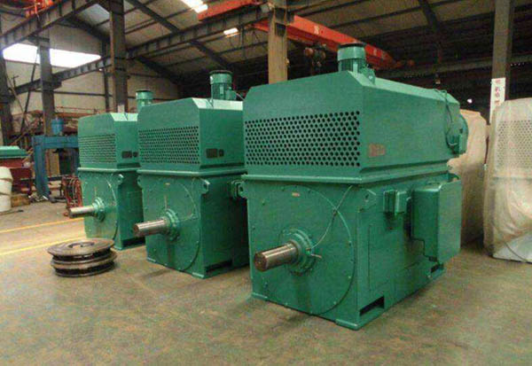 探索Y系列高壓三相異步電機(jī)