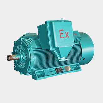 YB2系列高壓防爆電動(dòng)機(jī)維修售后