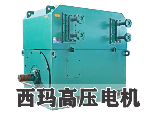 高壓電機的應(yīng)用與優(yōu)勢解析:從工作原理到常見問題的深度剖析(圖1) 2-2006161501080-L.jpg